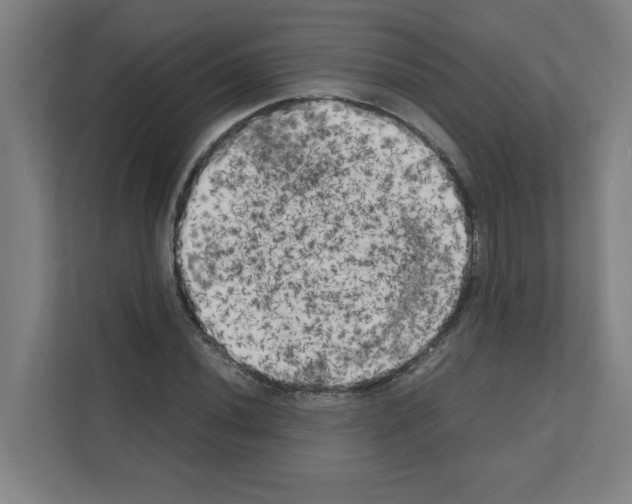 X0000111151020200908111129