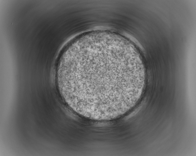 X0000111151021200908111129