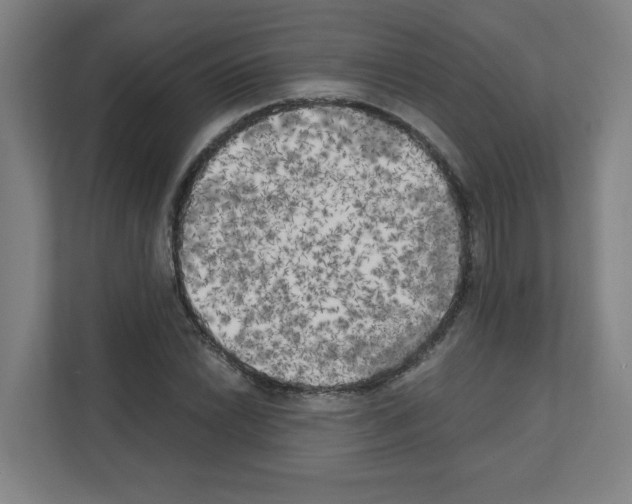 X0000111151022200908111129