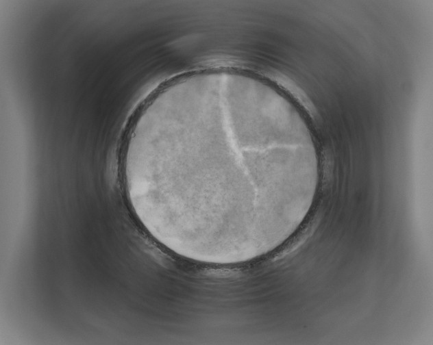 X0000111151023200908111130