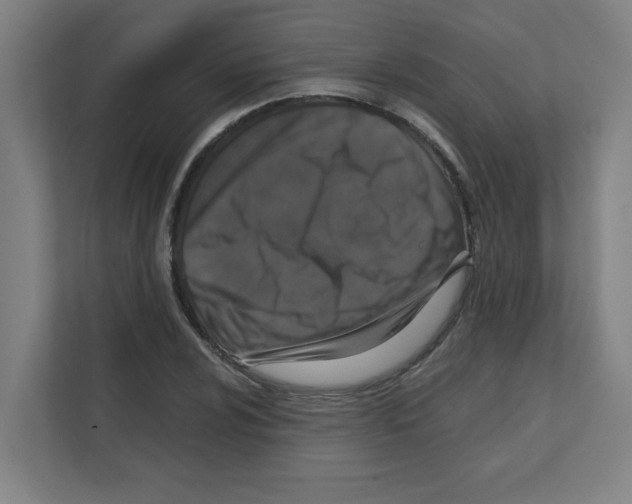 X0000111151024200908111130