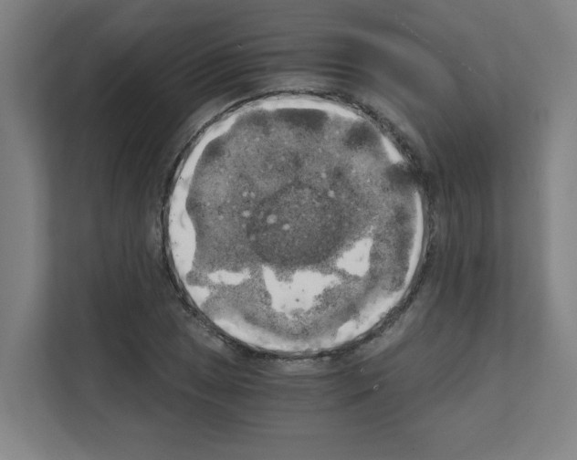 X0000111151025200908111130