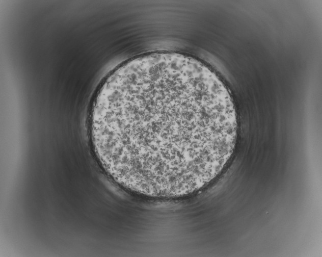 X0000111151026200908111130