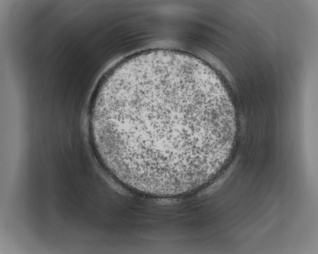 X0000111151029200908111130