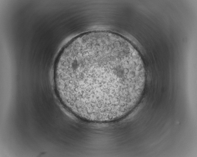 X0000111151030200908111130