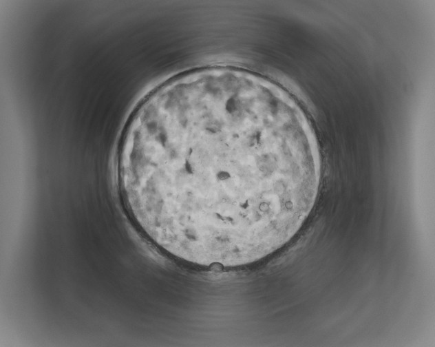 X0000111151032200908111130