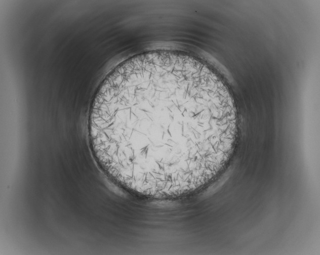 X0000111151033200908111130