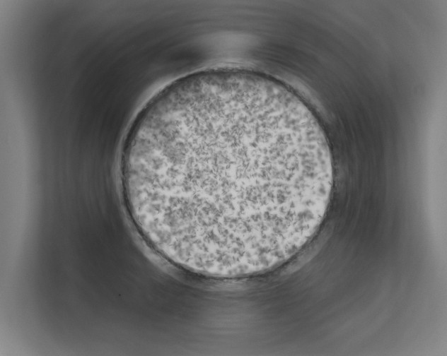 X0000111151038200908111130