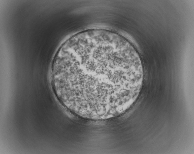 X0000111151040200908111130