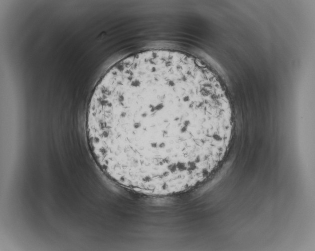 X0000111151041200908111130