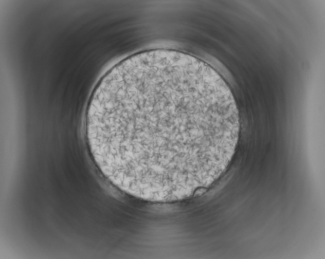 X0000111151044200908111130