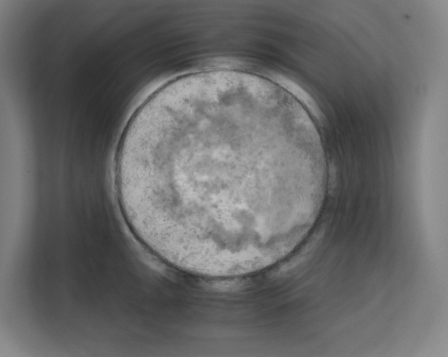 X0000111151047200908111130