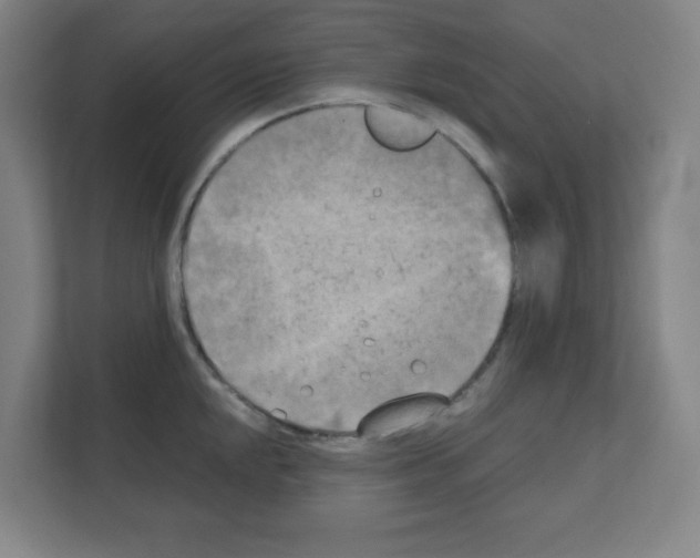 X0000111151048200908111130