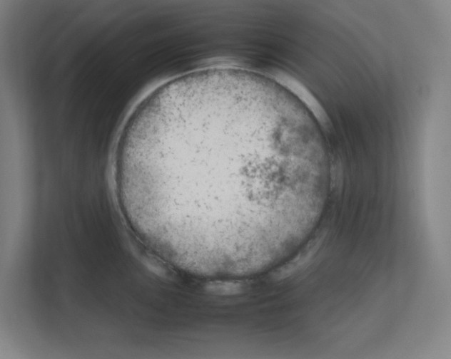 X0000111151051200908111130