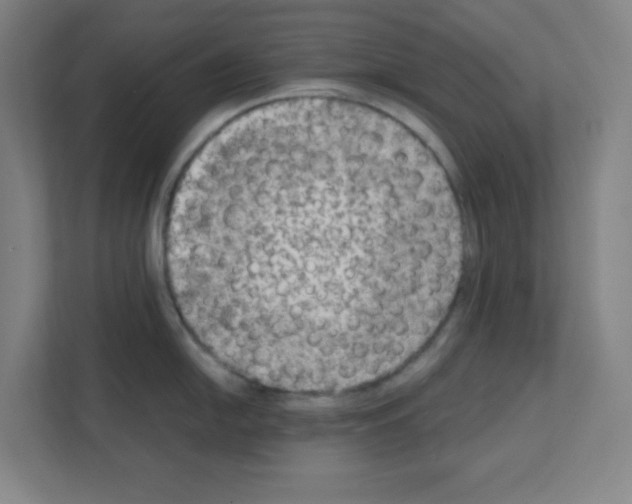 X0000111151054200908111130