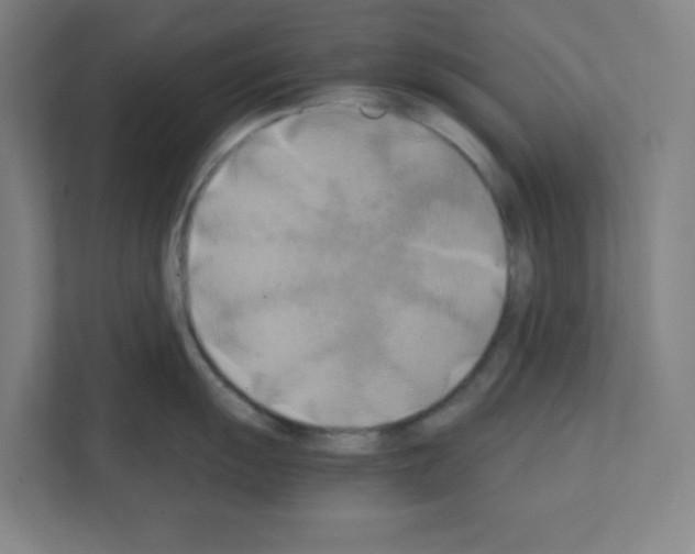 X0000111151055200908111130