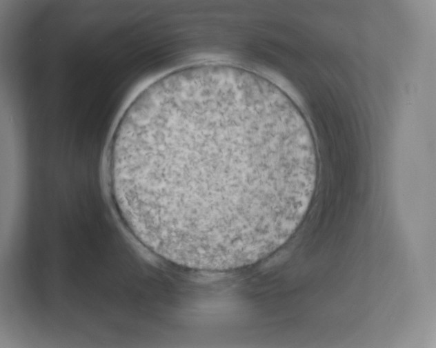 X0000111151056200908111130