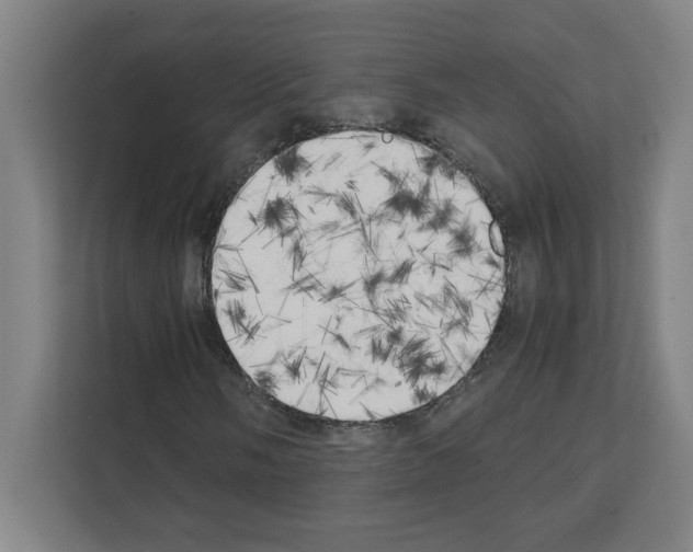 X0000111151058200908111129