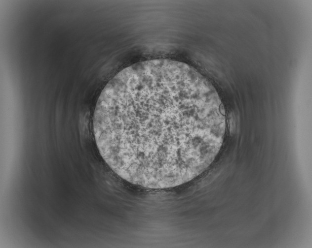 X0000111151059200908111129