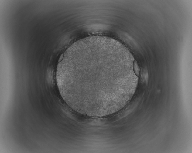 X0000111151060200908111129