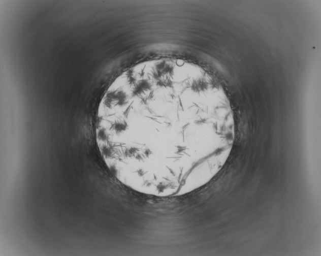 X0000111151062200908111129