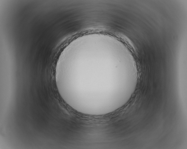 X0000111151064200908111129