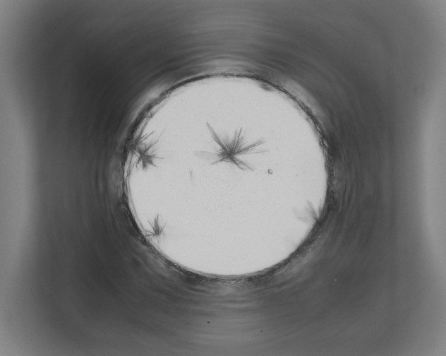 X0000111151067200908111129