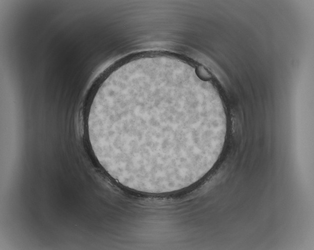 X0000111151069200908111129