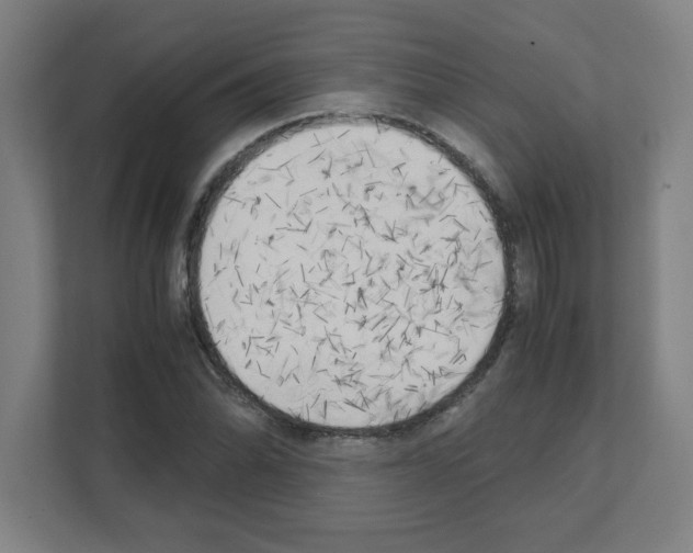 X0000111151070200908111129