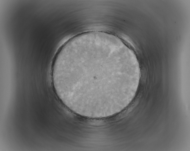 X0000111151071200908111129