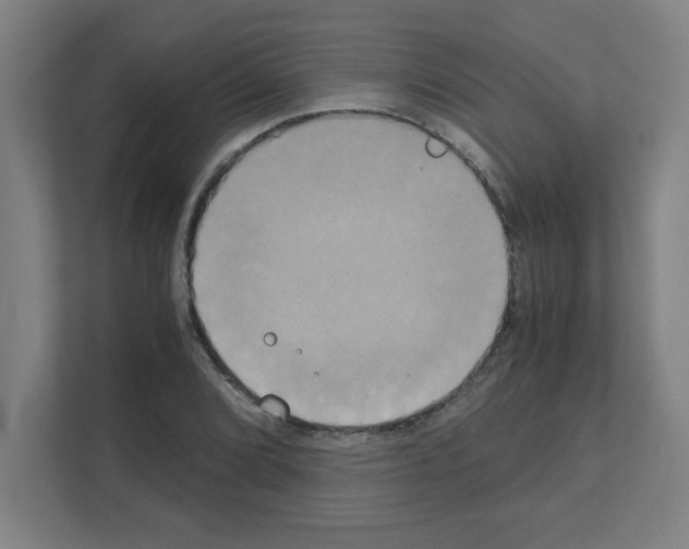 X0000111151072200908111129