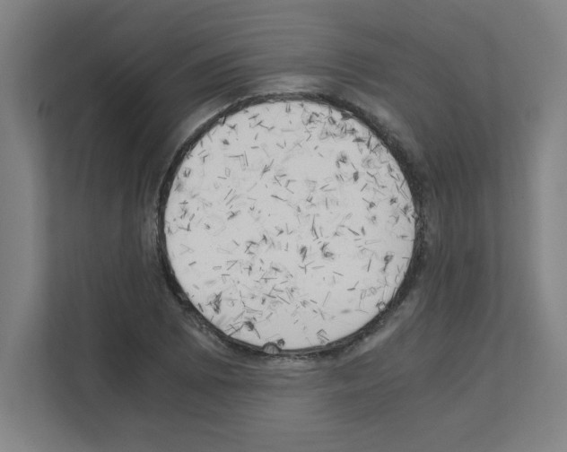 X0000111151073200908111129