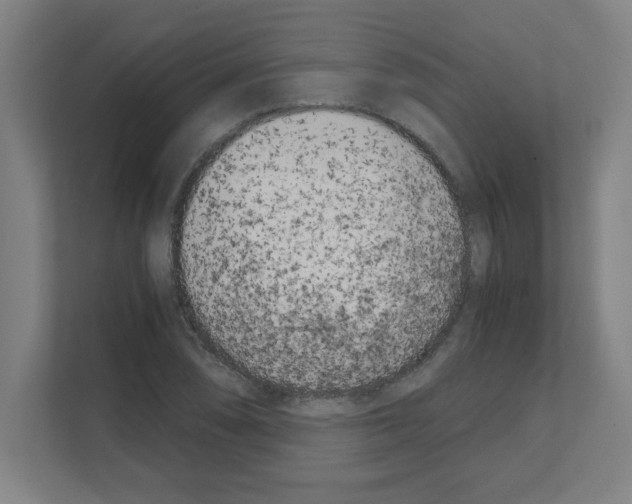 X0000111151074200908111129