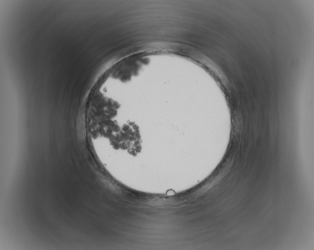 X0000111151075200908111129