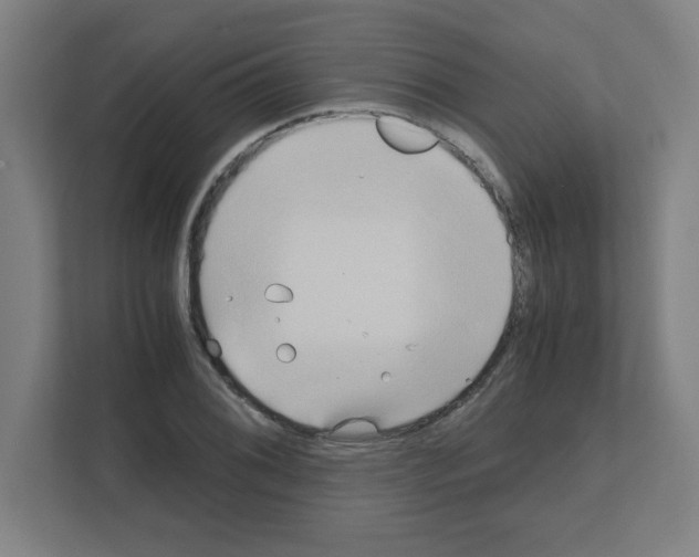 X0000111151076200908111129