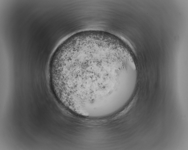 X0000111151077200908111129