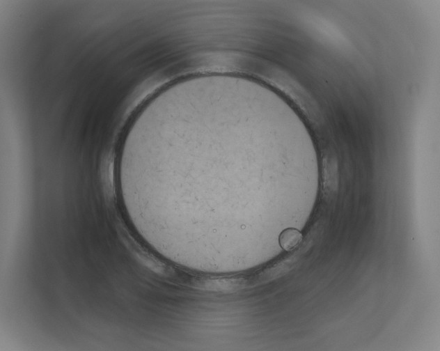 X0000111151078200908111129