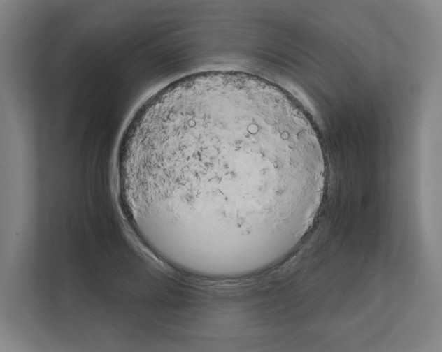 X0000111151080200908111129