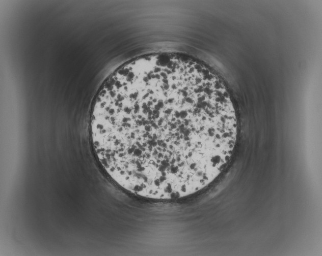 X0000111151081200908111129