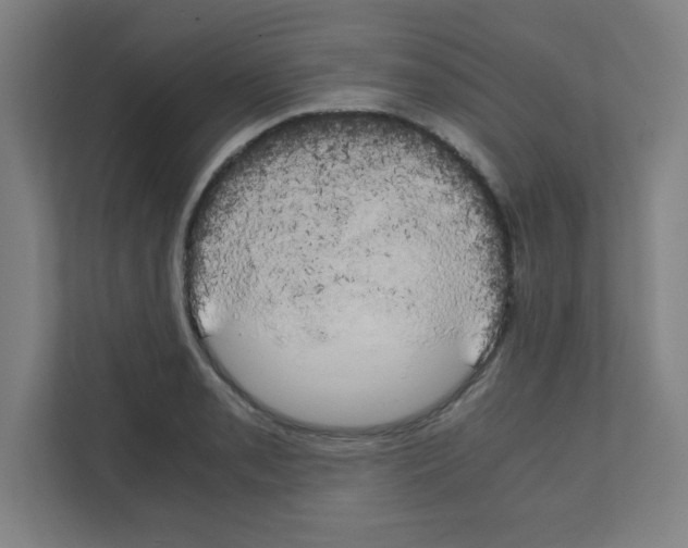 X0000111151085200908111129