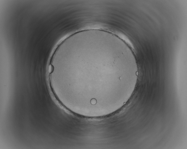 X0000111151088200908111129