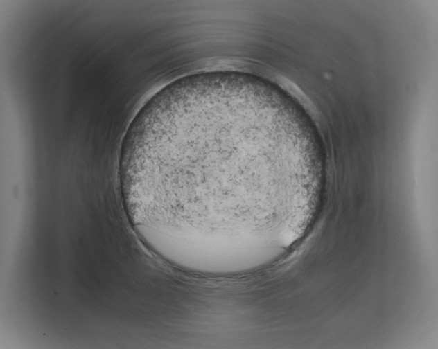 X0000111151089200908111129