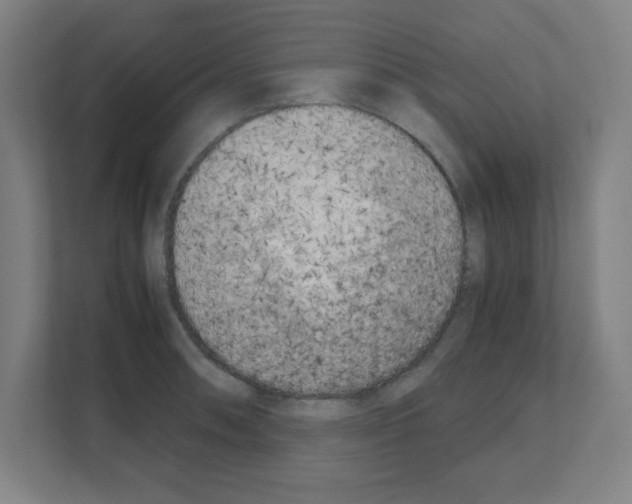 X0000111151090200908111129