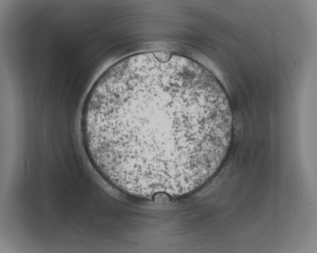 X0000111151091200908111129