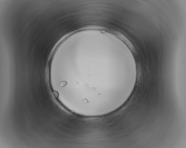 X0000111151092200908111129