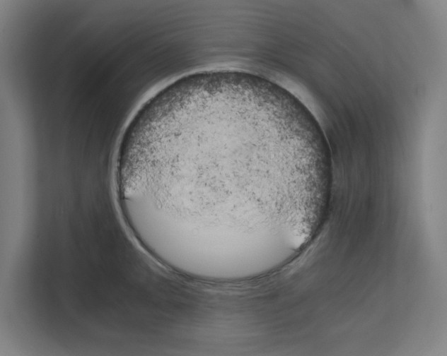 X0000111151093200908111129