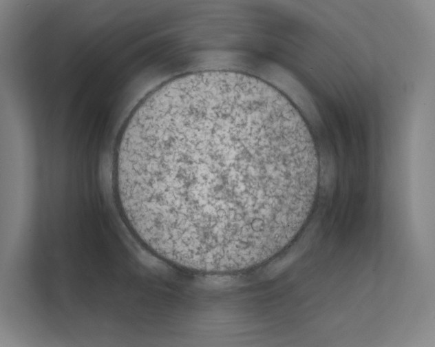 X0000111151094200908111129