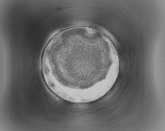 X0000111151095200908111129