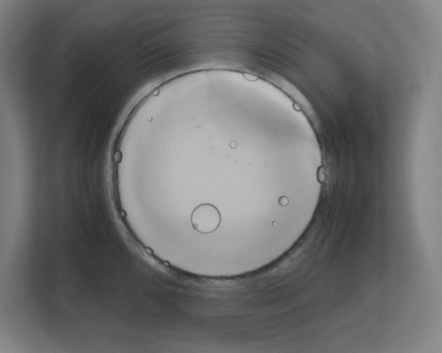 X0000111151096200908111129