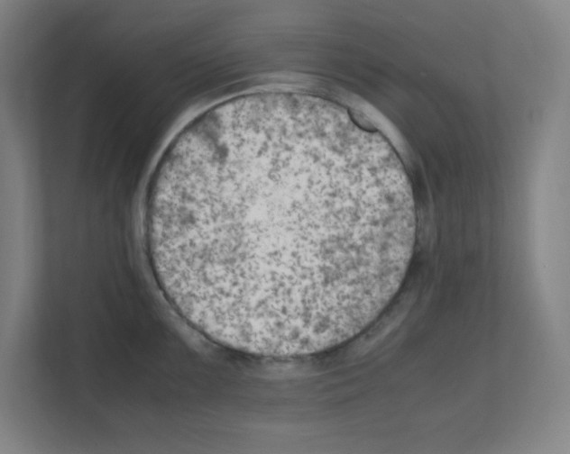 X0000111151099200908111129